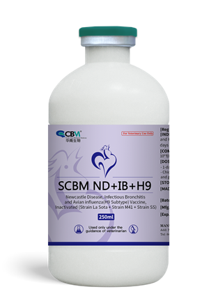 SCBM ND+IB+H9